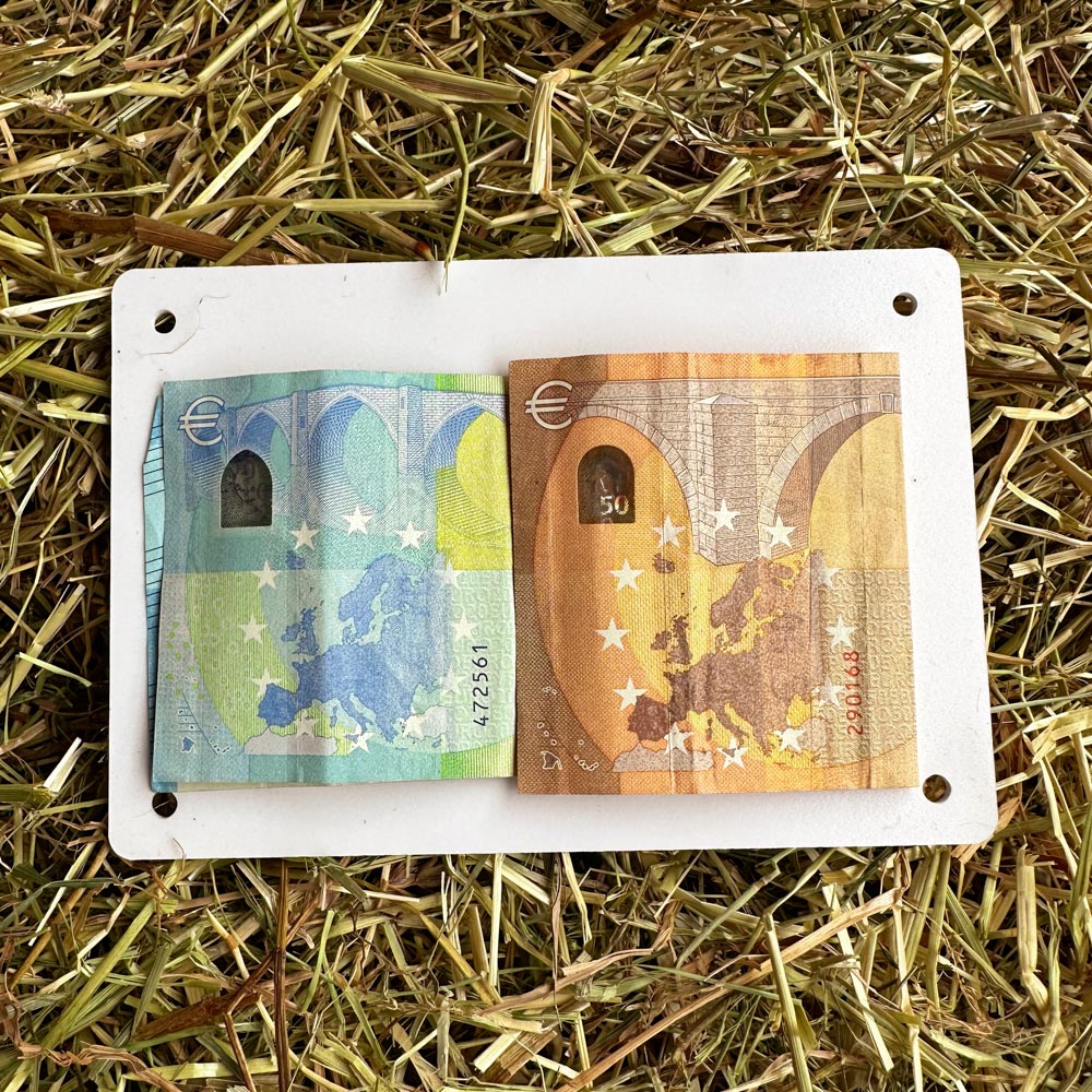 Geldgeschenk Fahrrad "Wunscherfüller Blumenfahrrad" 5 Fahrrad Geldgeschenk Geldscheine