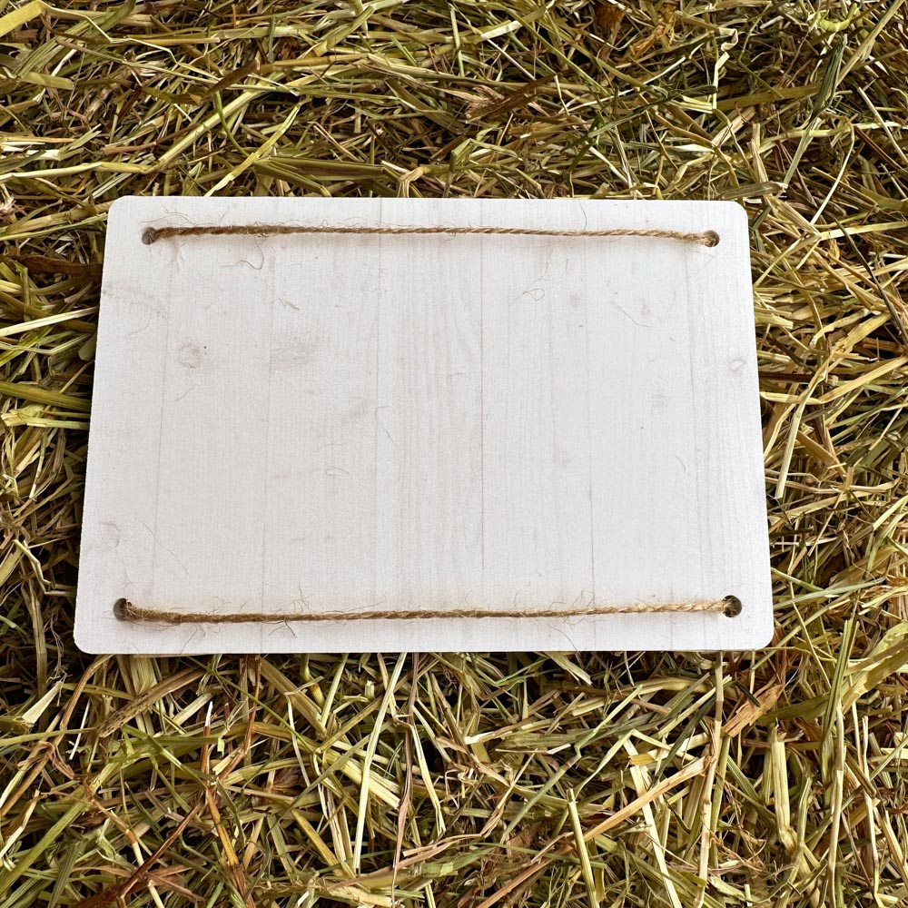 Geldgeschenk Fahrrad "Wunscherfüller Blumenfahrrad" 4 Fahrrad Geldgeschenk Rückseite