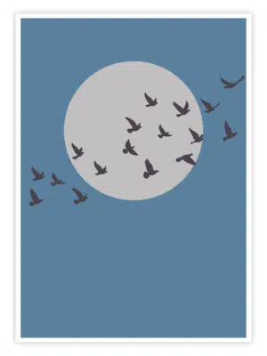 Boho-Bild-„Boho-Flight“--Titelbild