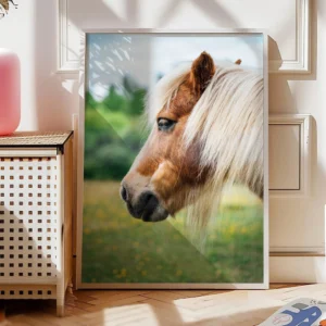 Pferde Poster Gentle Gaze30-A1