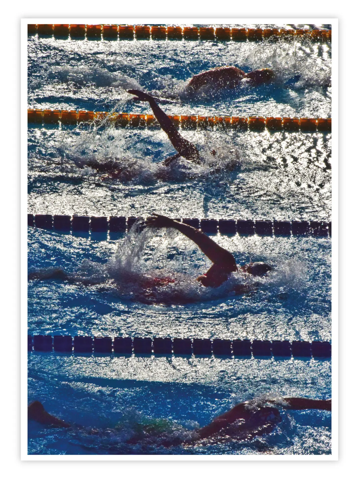 Schwimmen-Poster-'Lane-by-Lane'-titelbild