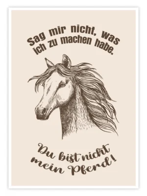 Pferde-Poster-'Du-bist-nicht-mein-Pferd'-titelbild