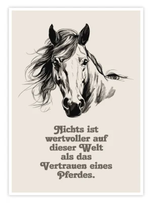 Pferde-Poster-'Vertrauen-eines-Pferdes'-titelbild