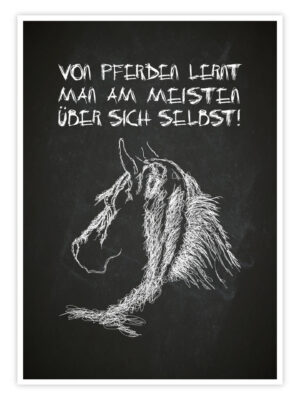 Pferde-Poster-'Was-Pferde-uns-lehren'-titelbild