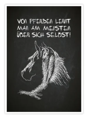 Pferde-Poster-'Was-Pferde-uns-lehren'-titelbild